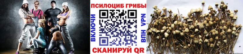 Галлюциногенные грибы MAGIC MUSHROOMS  Красный Сулин 